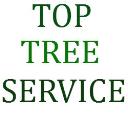 Top Tree Service logo